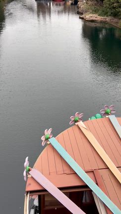 TDSへ行ってきましたの記事動画