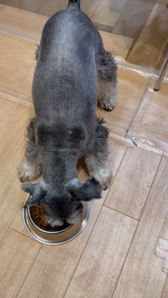 宅建試験終了！の記事動画