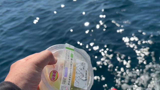 釣潮丸さんでガキ大将狙い…の予定が(^◇^;)の記事動画