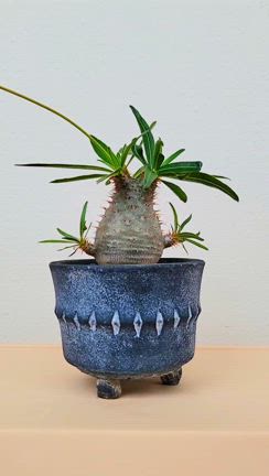 楽しみです！ | ふっくんの日々是好日 布川敏和オフィシャルブログ