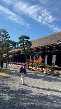 旅行2日目@京都の記事動画