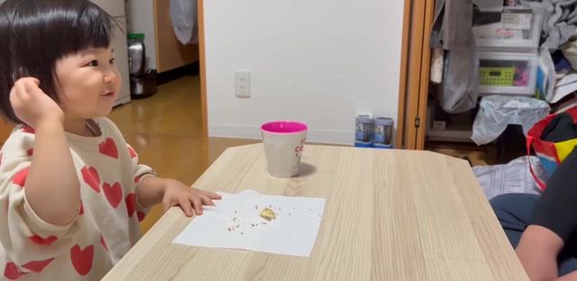 ベビーカステラの攻防♪の記事動画