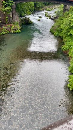 遭遇したら幸せになれる？！日光で出会える花嫁行列♡の記事動画