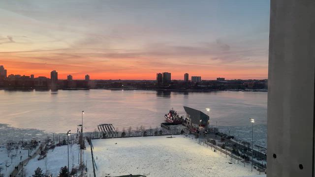 2026//02/13 Whitney museumの記事動画