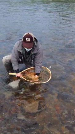 米代川サクラマスの記事動画