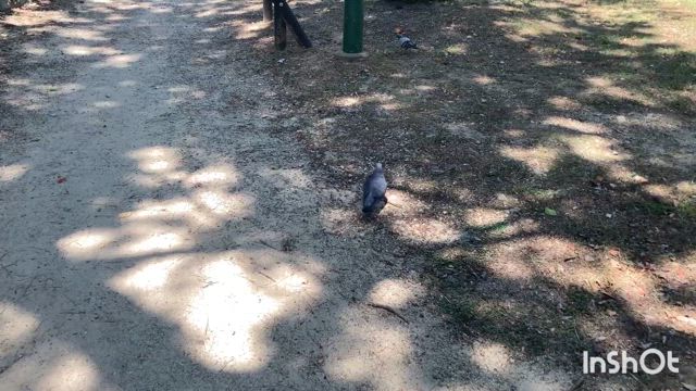 ほっと。の記事動画