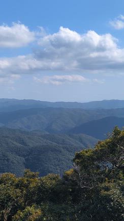 奄美大島の旅④（奄美大島10景の一つ湯湾岳展望台）の記事動画