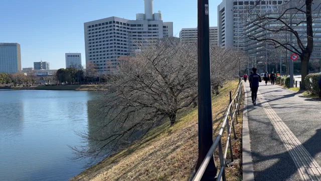 青山一丁目～皇居ラン～有楽町近辺アンテナショップ巡り　街歩きの記事動画