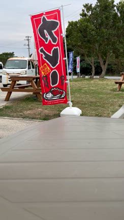 ⭐️⭐️349歩目～雪国を脱出してます⭐️⭐️～の記事動画