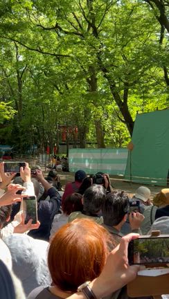 【GWに行ったところ2025】京都　下鴨神社の流鏑馬神事はすごかったの記事動画