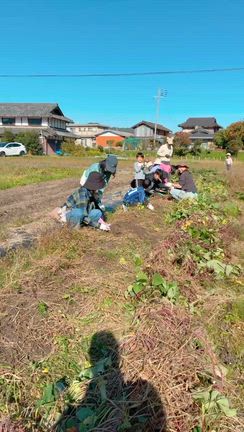 収穫の喜びと、つなぐ想い。お芋掘りと玉ねぎの収穫。［つちの音活動］の記事動画