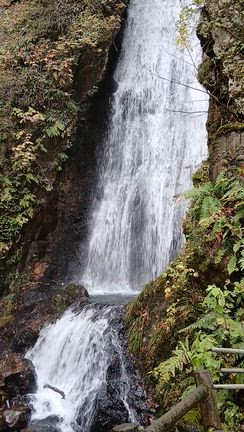 『自然で浄化を』の記事動画