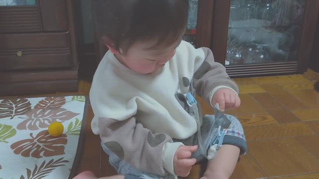 可哀想だけど分かってた事じゃない・・・の記事動画