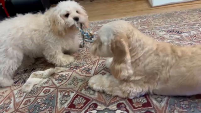 やっちゃんさんのプロフィールページ