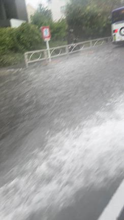 また龍神様を降臨させてしまいました〜東京都大田区・新田神社と四日市のくすのきパーキング〜の記事動画