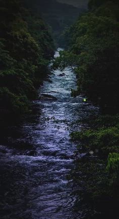 スタッフよりお知らせ【舞台「新撰組日記 壬生のほたる」PR動画解禁】の記事動画