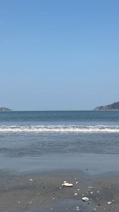 流木の記事動画