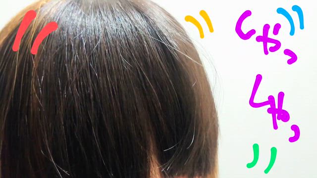 新しいアイテムが入ったよ！の記事動画