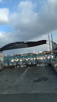 １２月２６日爆風✨の記事動画