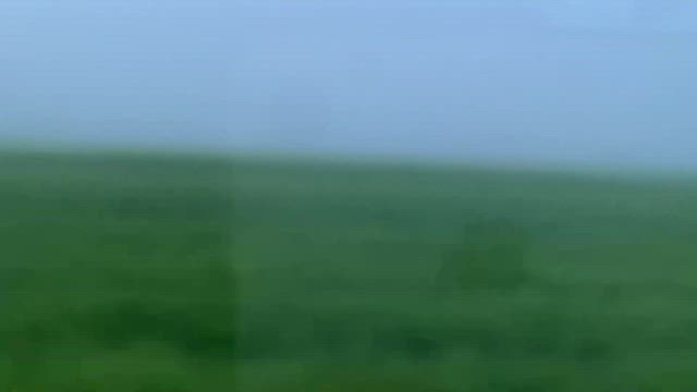 高知県四万十町の記事動画