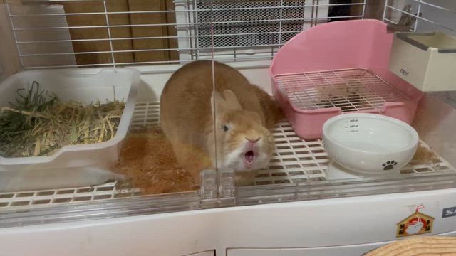 サッポロ モノビレッジへの記事動画