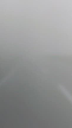 涼を求めての記事動画