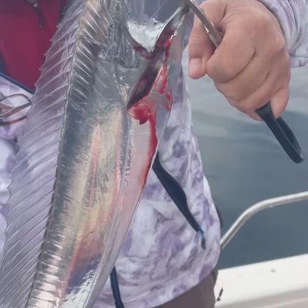 2026/03/25の記事動画