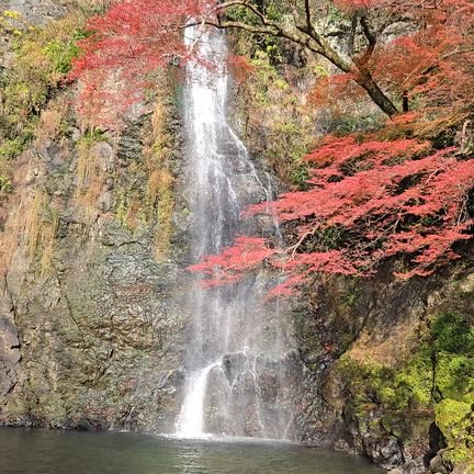 新月から冬至までの3日間開運日とともに無料ヒーリングブログで行いますの記事動画