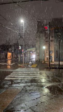 初雪…の記事動画