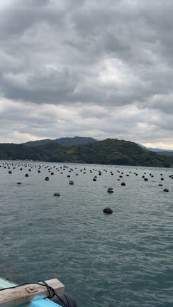 宇和島　２日目の記事動画