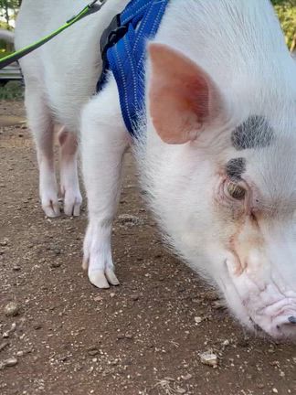 2025/10/18の記事動画