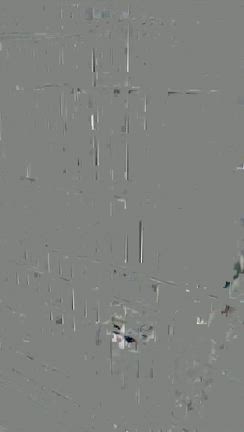 子猫の成長は早い…ララちゃん（ラクドール５ヶ月）2.3kgになりましたの記事動画