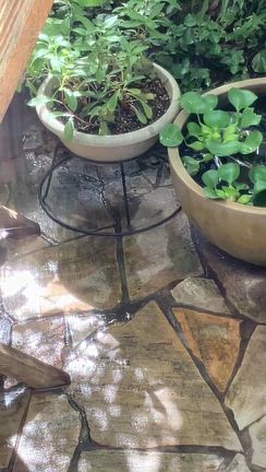 2025.10.7 満月とお米の記事動画