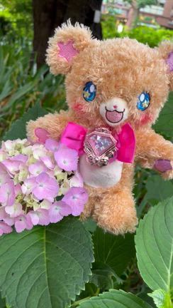 みらいお誕生日おめでとうモフʕ•ᴥ•ʔの記事動画