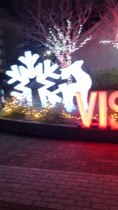 本日のヴィッセル神戸スポーツクラブ　空手少年部の記事動画