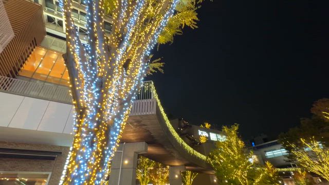 流山おおたかの森イルミネーション2025の記事動画