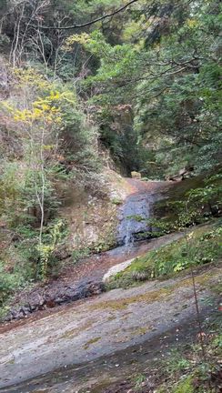 紅葉満喫⭐︎室生日帰り旅の記事動画