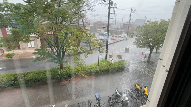 埼玉 ゲリラ豪雨の記事動画