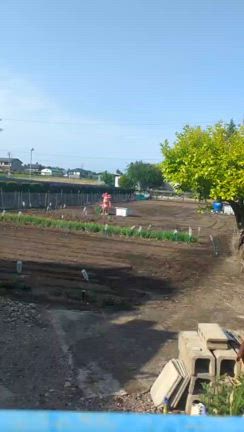 ガードドッグの記事動画