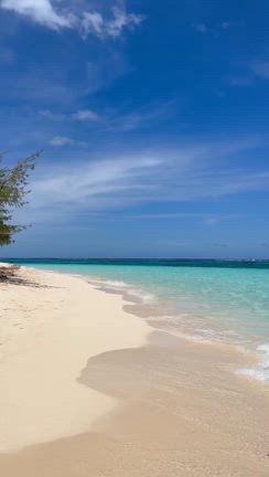 南国リゾート３泊４日サイパンの旅！人気スポット"マニャガハ島"＆マリンスポーツを大満喫♡の記事動画