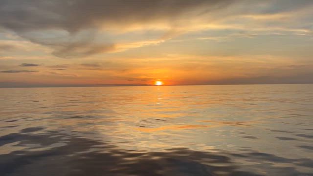 離島ジギング（カンパチ14㎏）泳がせ（カンパチ27㎏・23㎏・19㎏・13.6㎏）の記事動画