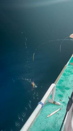 8/22(金) 深夜便募集の記事動画