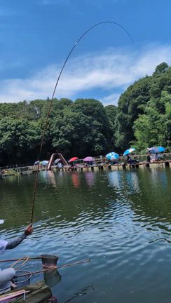 ロッドプレジャーIIの記事動画