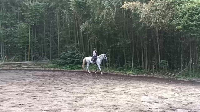 ちゃんと習って、思い出す(動画)の記事動画