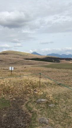 ビーナスラインの記事動画