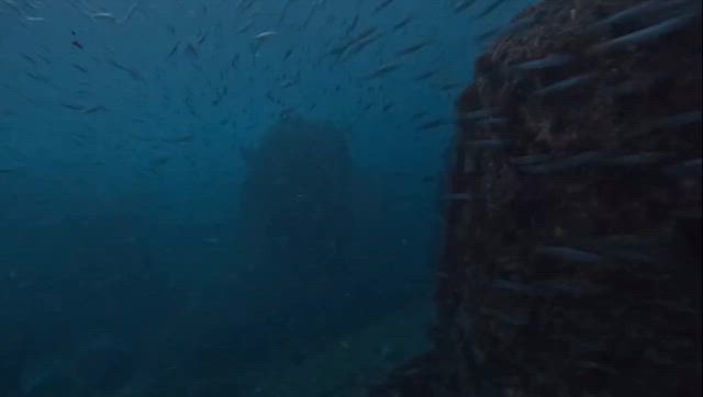 2025/06/02の記事動画