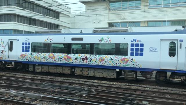 今日は大阪でフライベントの記事動画