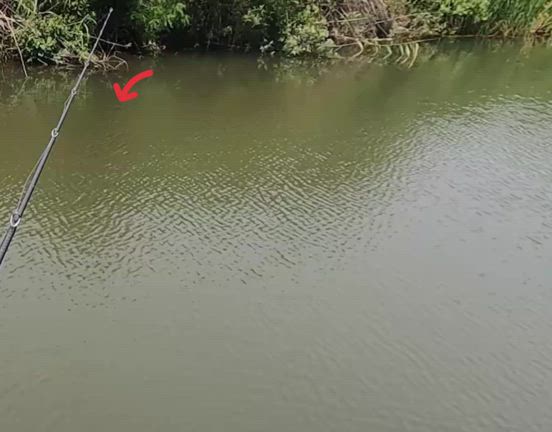 Lure Power…な話しの記事動画