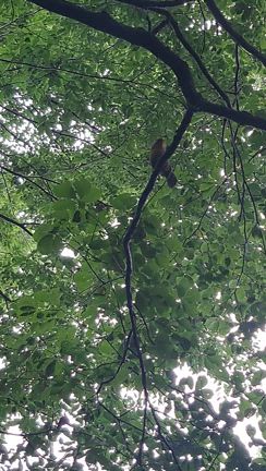 楽しげなおしゃべりの記事動画