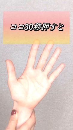 ヨガ納めの記事動画